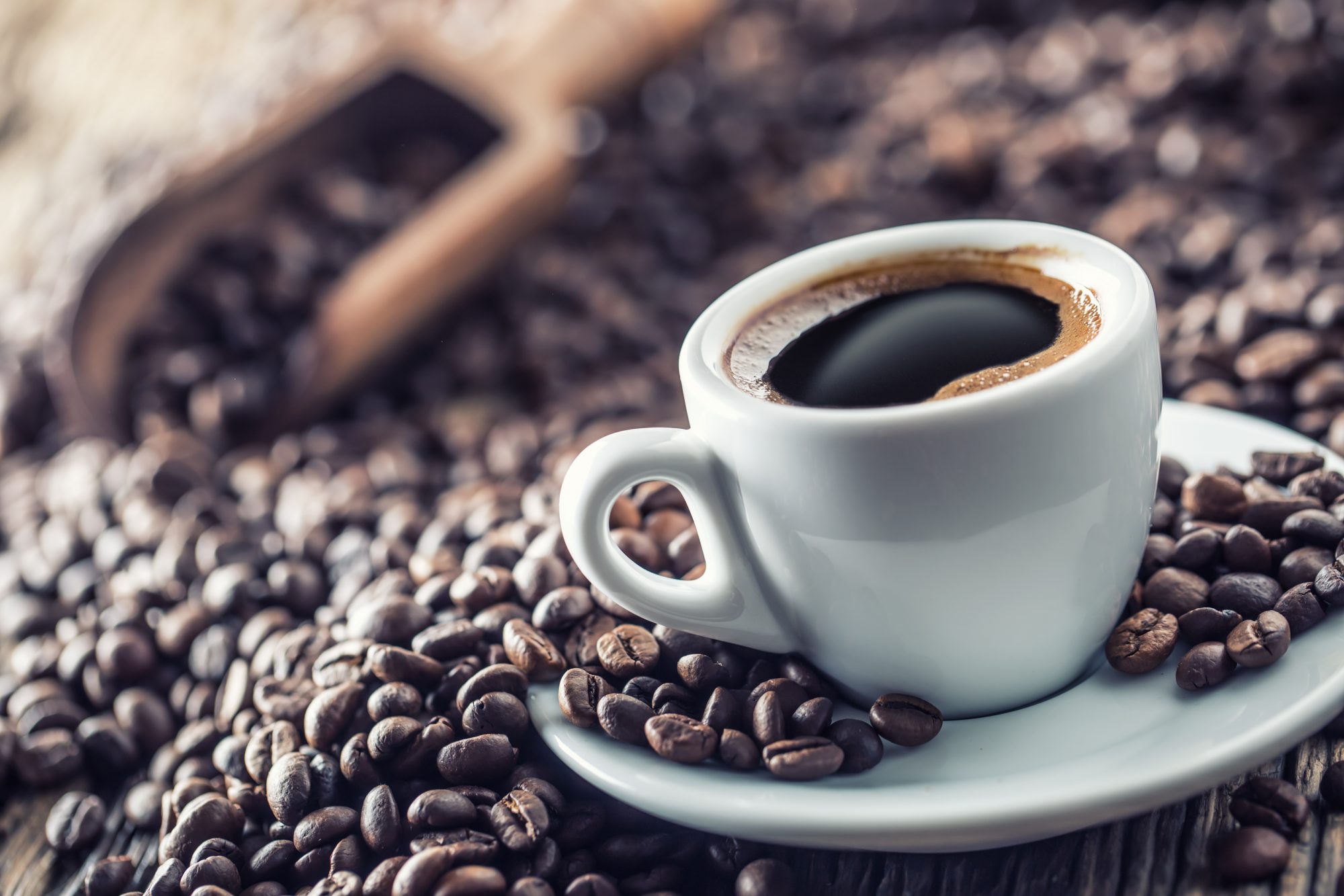 Nashville Coffee Service | Gourmet Coffee and Drinking Tea | Break Room Solutions